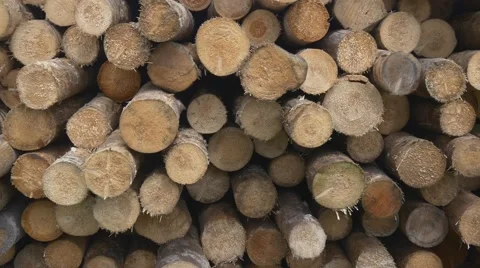 Sawed timber in the warehouse Stock Footage 66793141