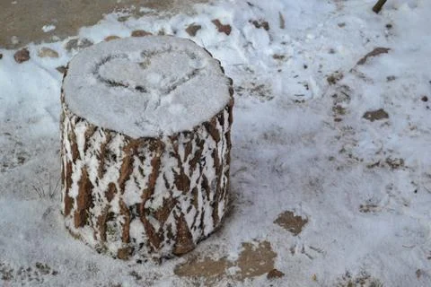Sawed a tree. Heart Stock Photos