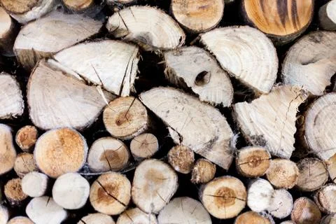 Sawed tree trunks and branches in different sizes, piled up in blue container Stock Photos