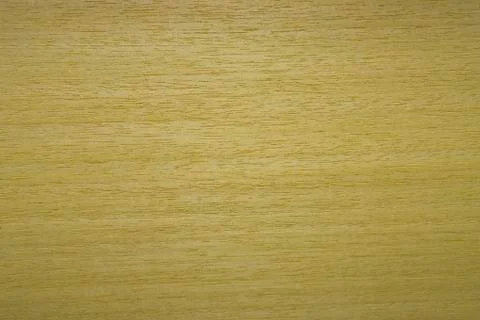 Sawed veneer. Backdrop or background wooden. 스톡 사진