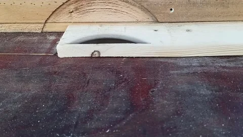 Sawing the board on the circular saw Stock Footage 149943984