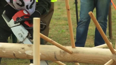 Sawing branches 動画素材 68353278