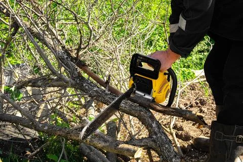 Sawing branches Stock Photos