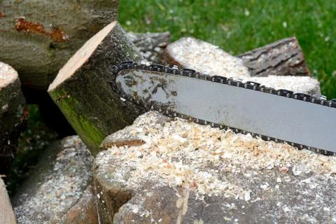 Sawing with chainsaw Stock Photos