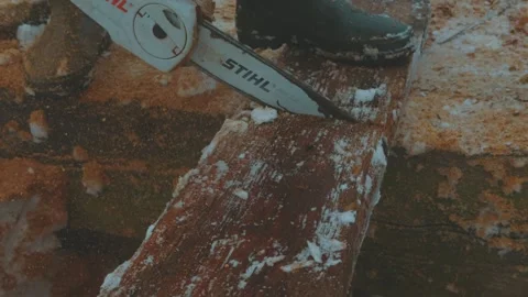 Sawing firewood close-up Stock Footage 323967284