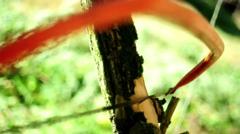 Sawing Vídeos de archivo 525930