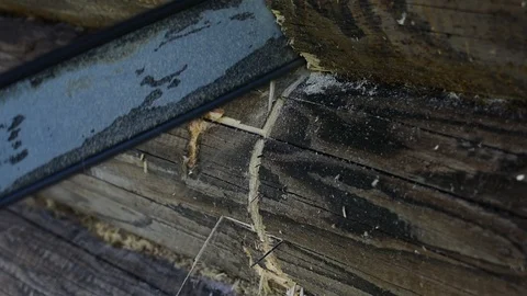 Sawing a log wall, close up Stock Footage 117473678