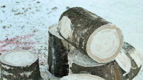 Sawing machine making stumps in the snow Stock Footage 64553612