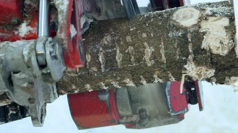 Sawing machine making stumps for transport Stock Footage 64553601