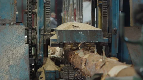 Sawing machine processing the timber material at the woodworking facility Stock Footage 243818038