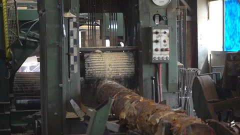 Sawing machine at wood production factory. Stock Footage 137066053