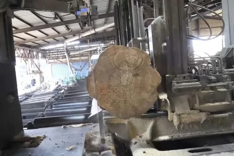 Sawing pine logs into bars and boards at sawmill Stock Photos