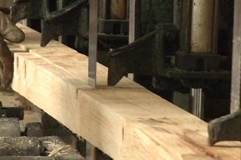 Sawing pine wood 库存影片 37672452