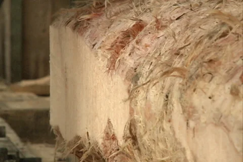 Sawing pine wood 库存影片 37673107