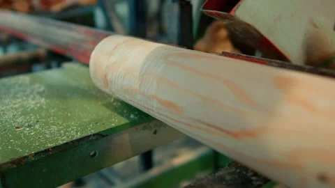 Sawing round timber with a circular saw. Log trimming, preparation for export Stock Footage 157564560