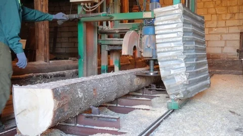 Sawing the stem of the tree in saw-mill 库存影片 79831495