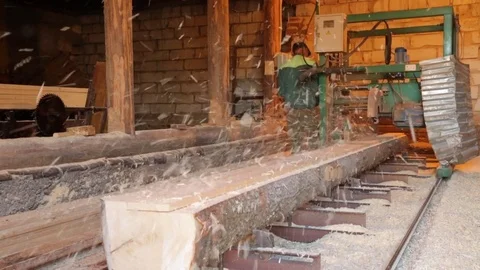 Sawing the stem of the tree in saw-mill Stock Footage 79831501