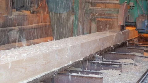 Sawing the stem of the tree in saw-mill Video stock 79831527