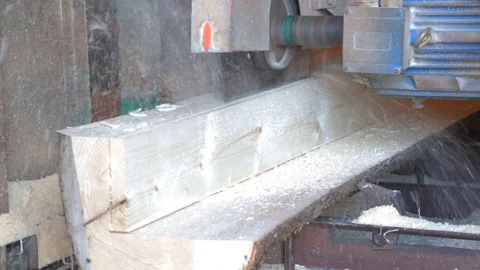 Sawing the stem of the tree in saw-mill 库存影片 79831564