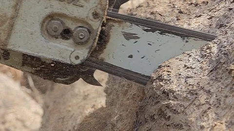 Sawing Timber. Stock Footage 79996712