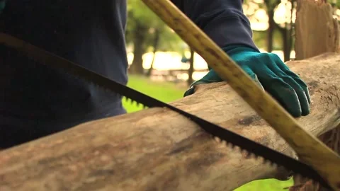 Sawing a Tree Branch Stock Footage 140619781