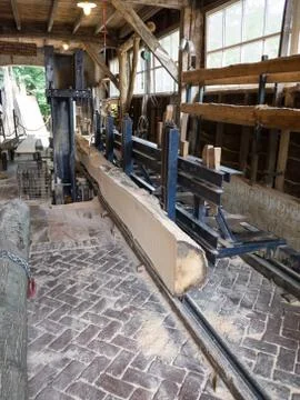 Sawing a tree Stock Photos