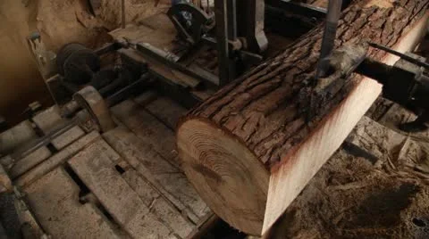 Sawing tree trunk to turn into lumber board Video stock 12659078