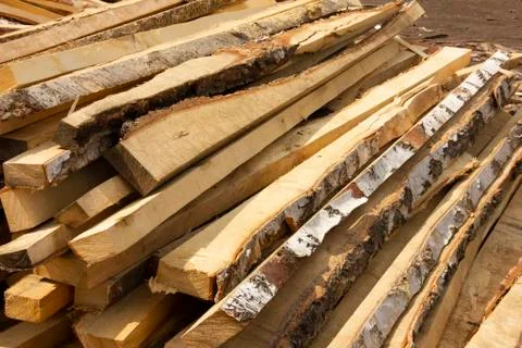 Sawing trees into small bars. tree processing. logging for the winter. Stock Photos