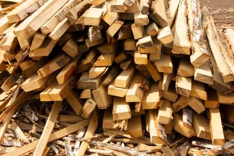 Sawing trees into small bars. tree processing. logging for the winter. Stock Photos