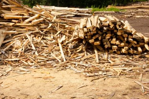 Sawing trees into small bars. tree processing. logging for the winter. Stock Photos
