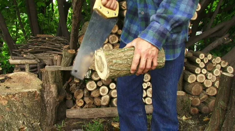 Sawing Wood 2 Stock Footage
