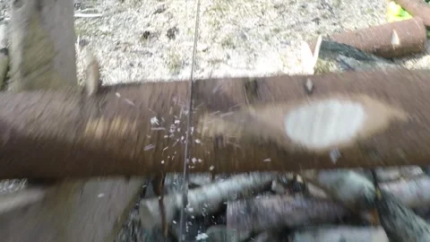 Sawing wood with camera attached to bow saw frame, 120fps Stock Footage 146014174