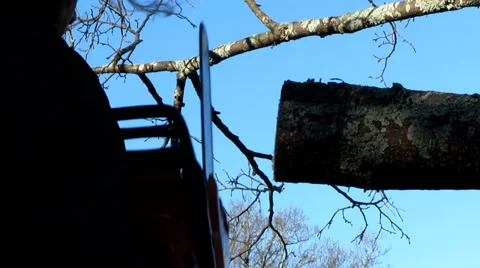 Sawing wood Vídeo Stock 31745382