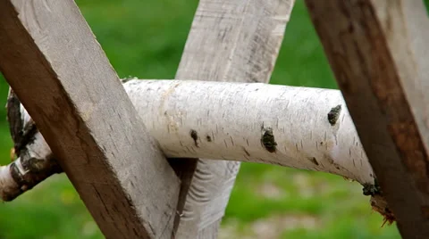 Sawing wood Stock Footage 37179237