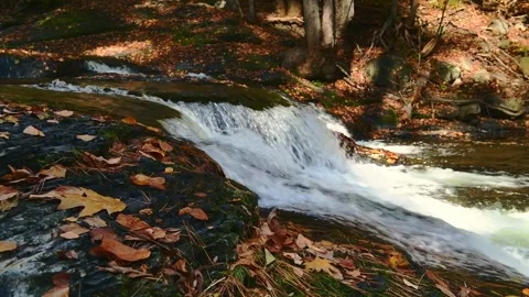 Sawkill creek closeup 1 Stock Footage 259429960