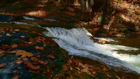 Sawkill creek closeup 2 Stock Footage 259429963