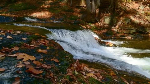 Sawkill creek closeup 3 Stock Footage 259429959