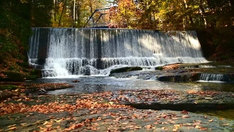 Sawkill creek dam 2 loop Stock Footage 259428152