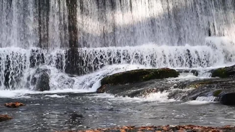 Sawkill creek dam 5 loop Stock Footage 259428526