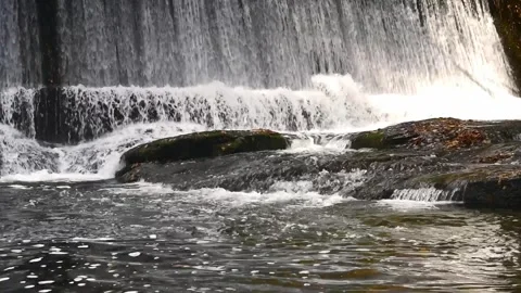 Sawkill creek dam 6 Stock Footage 259430440