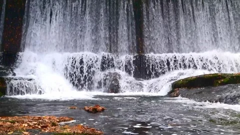 Sawkill creek dam 7 loop Stock Footage 259430447