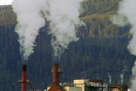 Sawmill 01 Stock Footage 496530