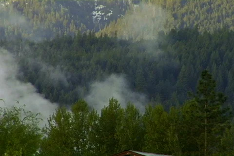 Sawmill 02 Stock Footage 496533