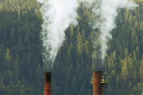 Sawmill 03 Video stock 496534