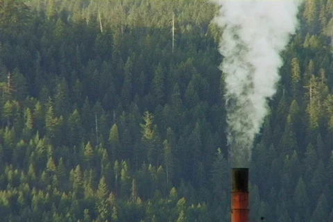 Sawmill 04 Stock Footage 496540