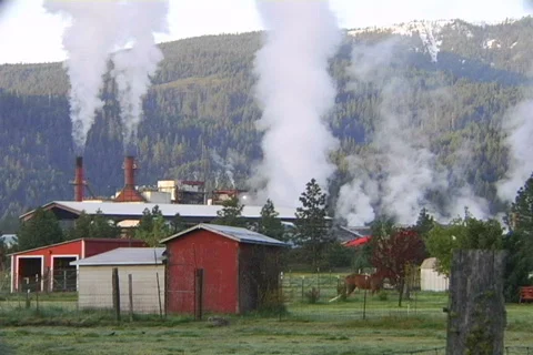 Sawmill 05 Stock Footage 496539