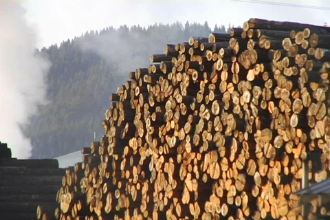 Sawmill 06 Stock Footage 496543