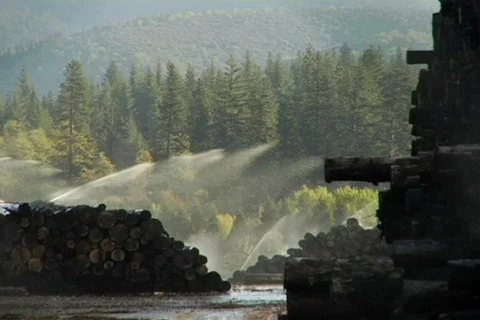 Sawmill 08 Stock Footage 496546