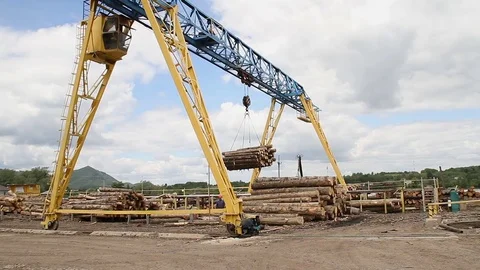 Sawmill. The crane carries logs Video stock 74430216