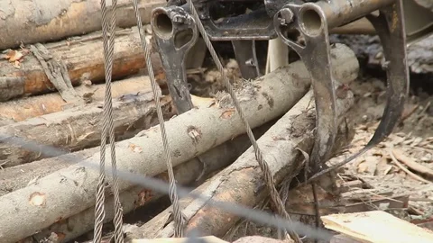 Sawmill. Crane grabs logs Stock Footage 74478314